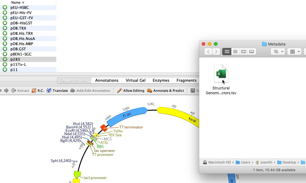 Import metadata onto sequences and other documents