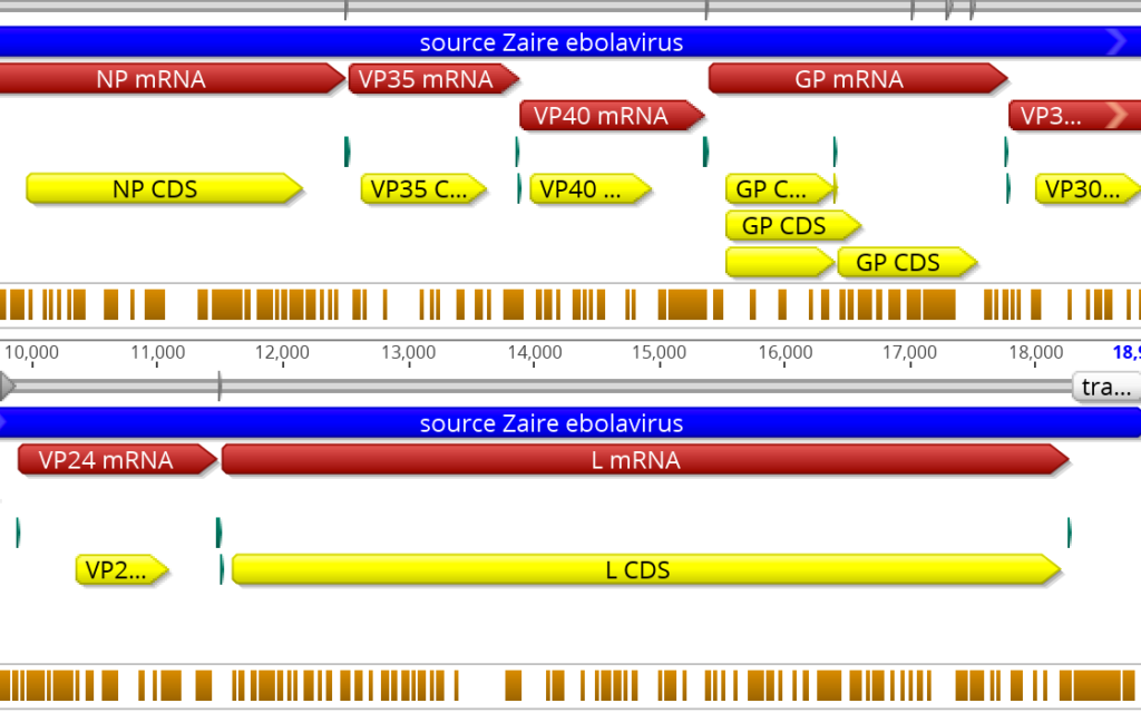 Sequence alignment