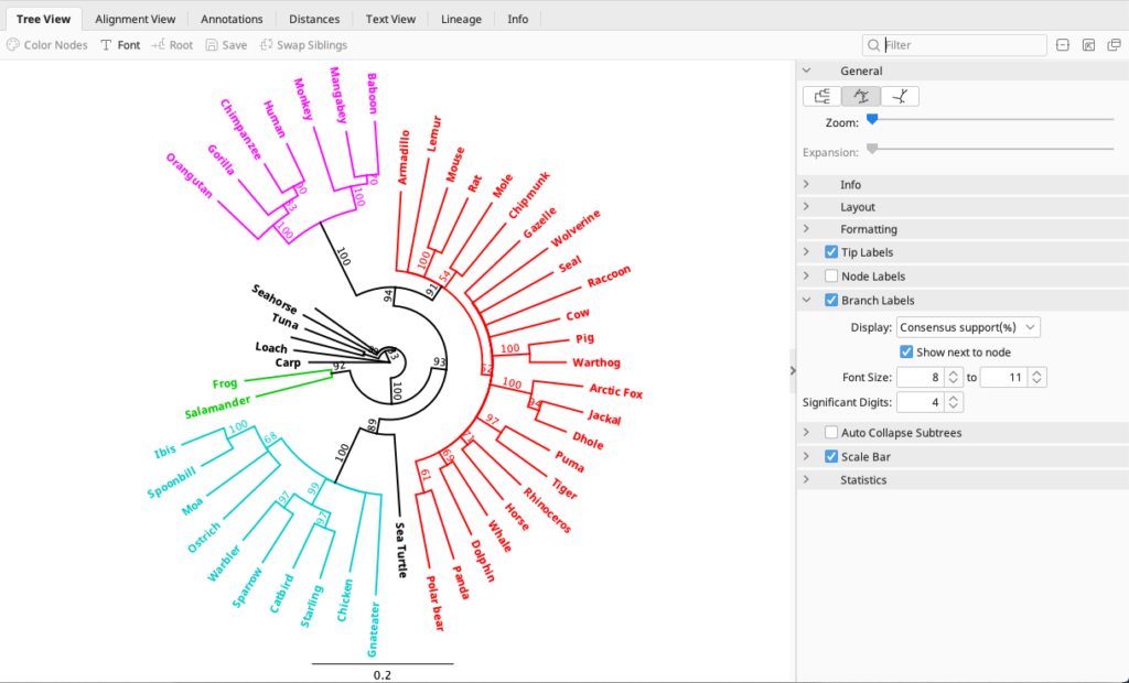 Phylogenetic tree building